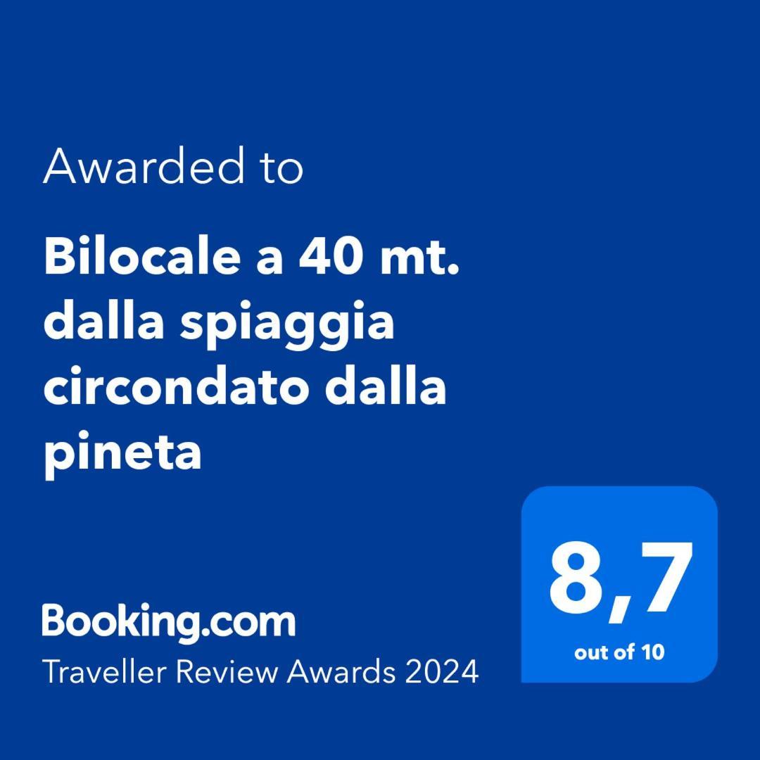 Bilocale A 40 Mt. Dalla Spiaggia Circondato Dalla Pineta 마리나디그로세토 외부 사진