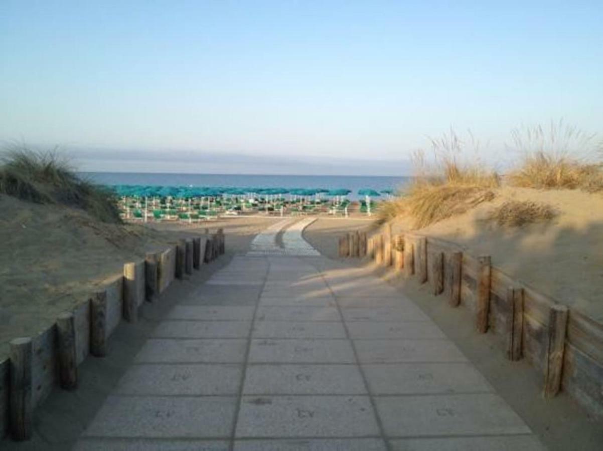 Bilocale A 40 Mt. Dalla Spiaggia Circondato Dalla Pineta 마리나디그로세토 외부 사진