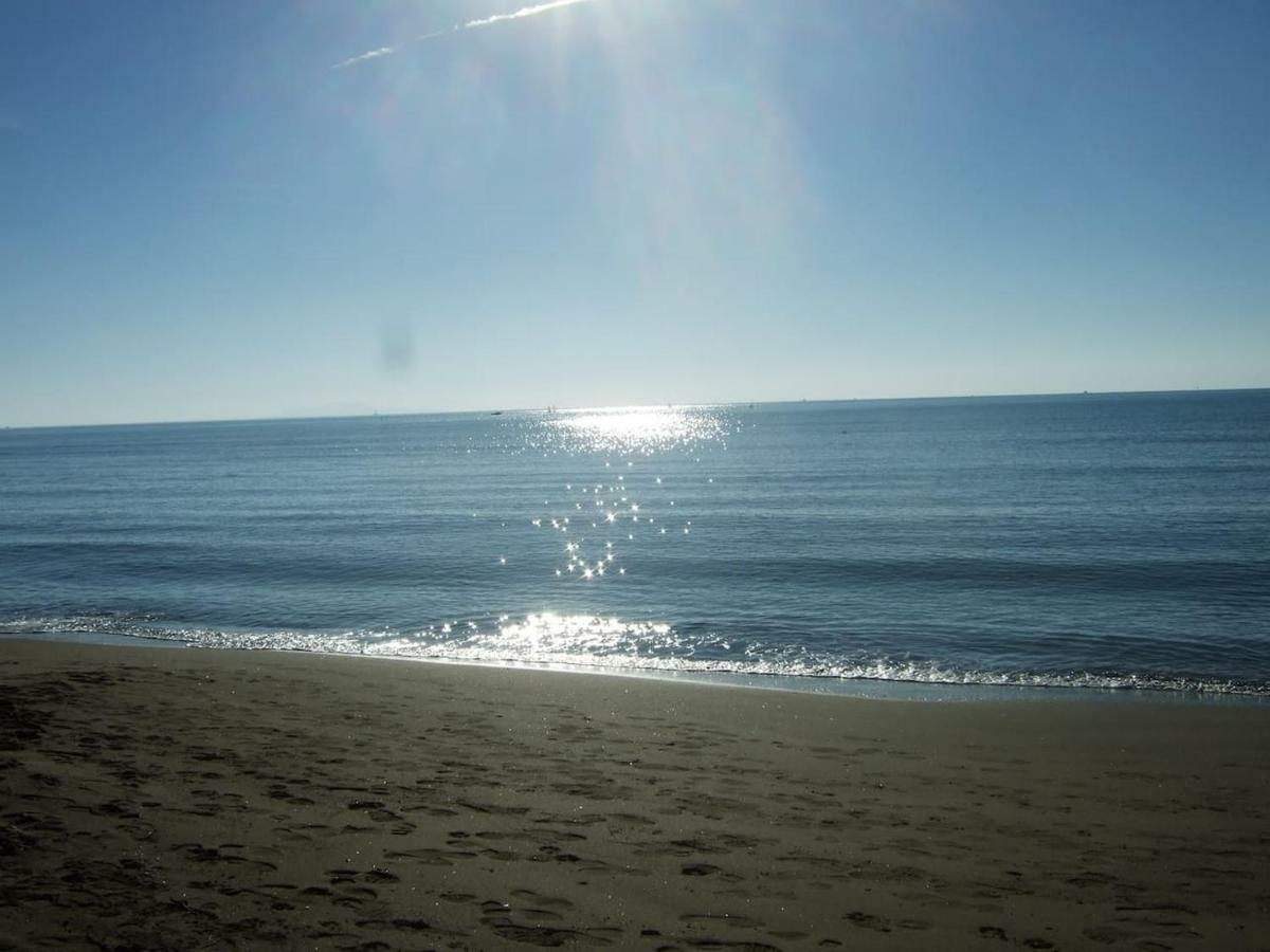 Bilocale A 40 Mt. Dalla Spiaggia Circondato Dalla Pineta 마리나디그로세토 외부 사진